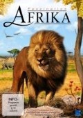Cover-Bild zum Titel 'Faszination Afrika' von ''