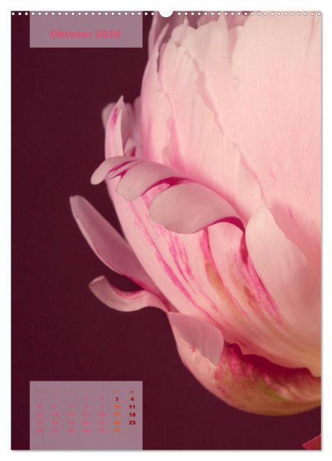 additionalImage2