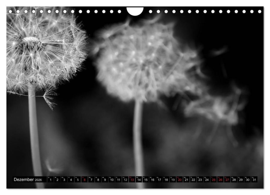 additionalImage4