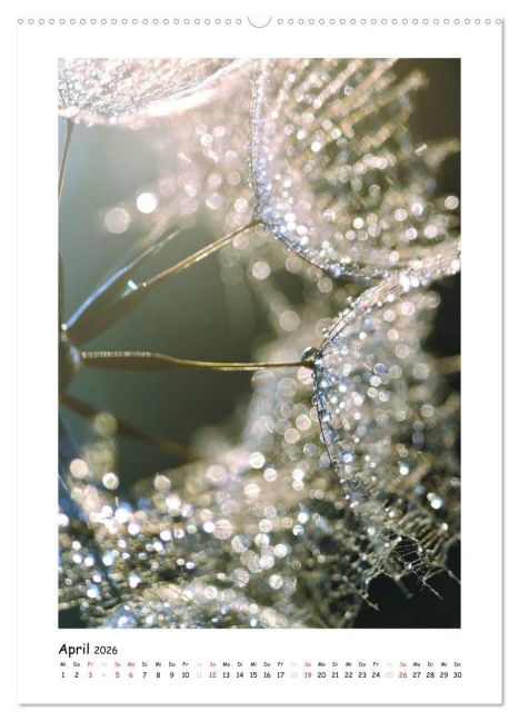 additionalImage8