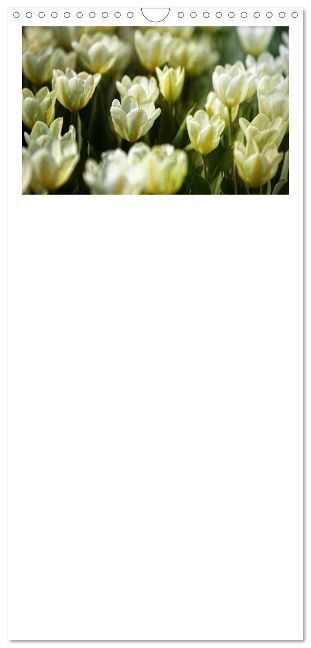 additionalImage6