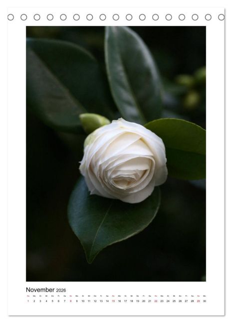 additionalImage3
