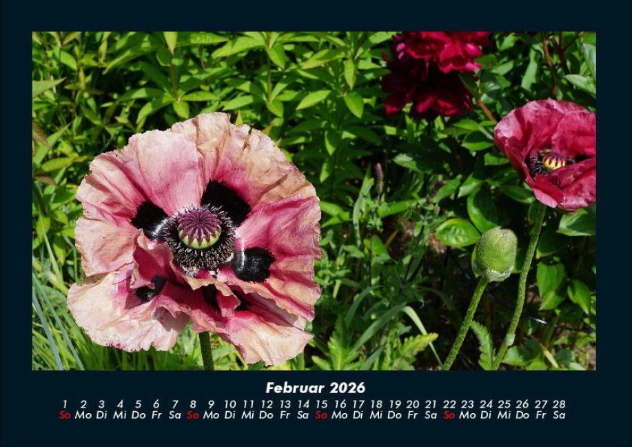 additionalImage6
