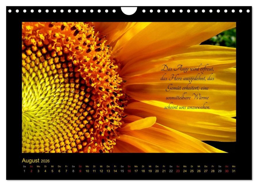 additionalImage13