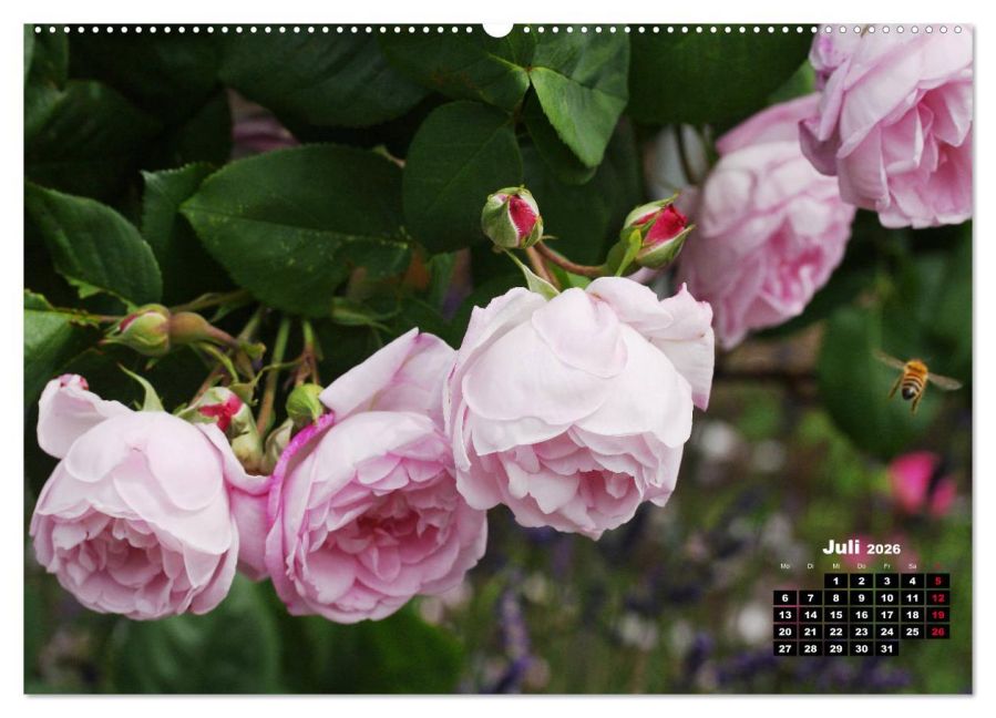 additionalImage12