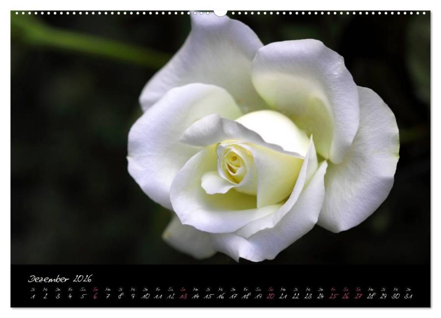 additionalImage3
