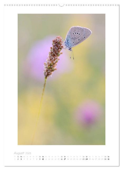 additionalImage12