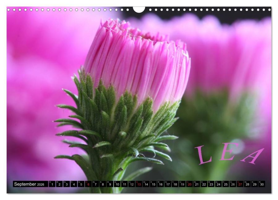 additionalImage14