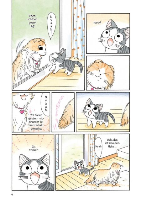 additionalImage2