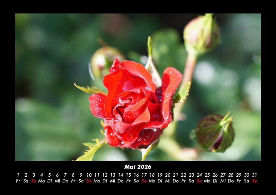 additionalImage9