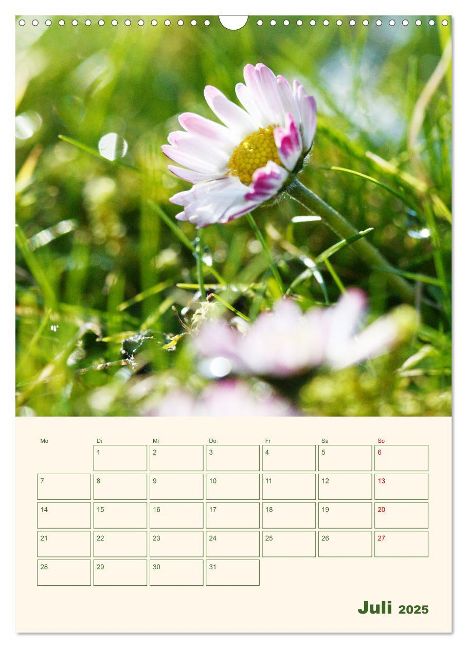 additionalImage12