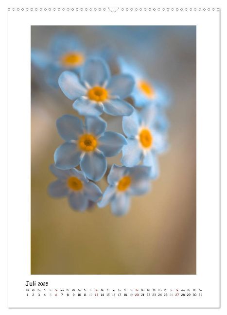 additionalImage11