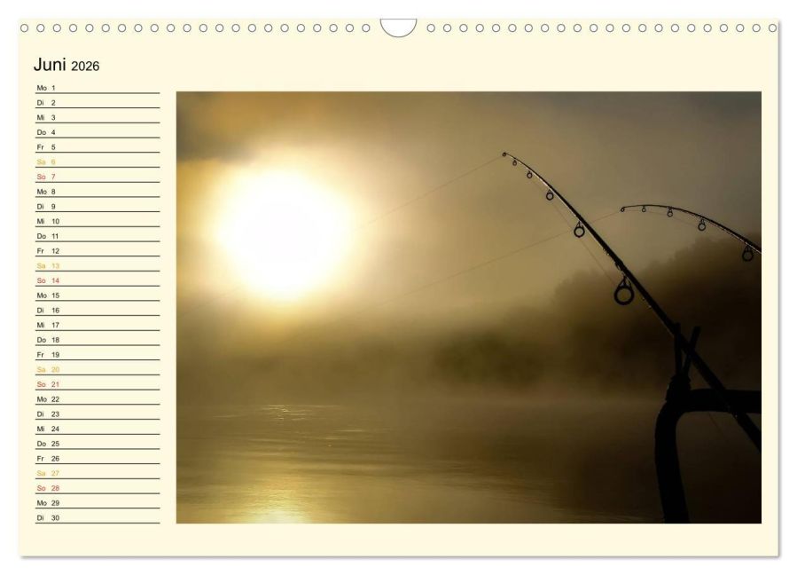 additionalImage11