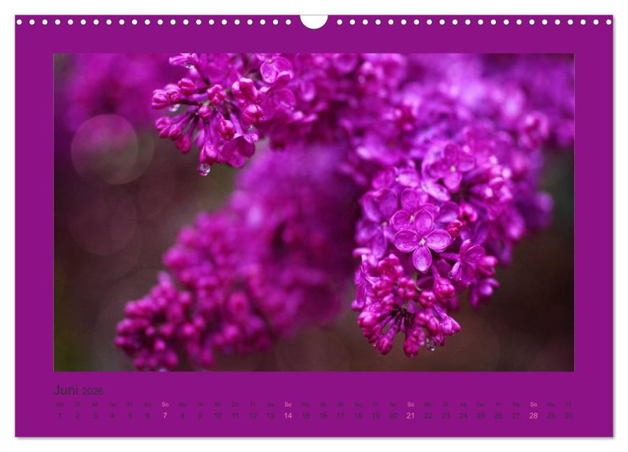 additionalImage11
