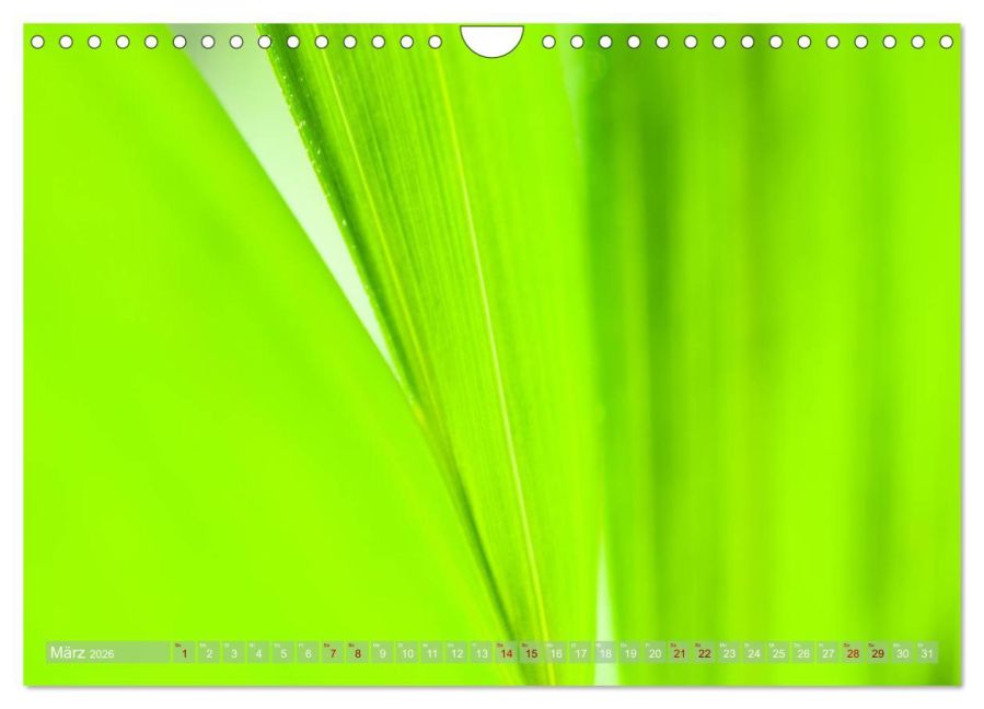 additionalImage8