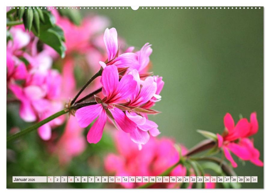 additionalImage5