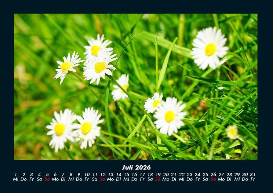 additionalImage11