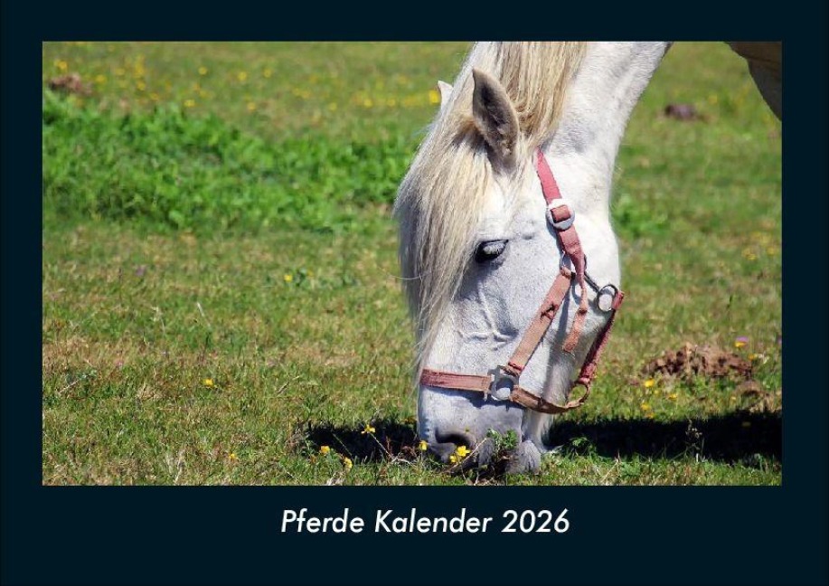 Pferde Kalender 2026 Fotokalender DIN A4 - Tobias Becker