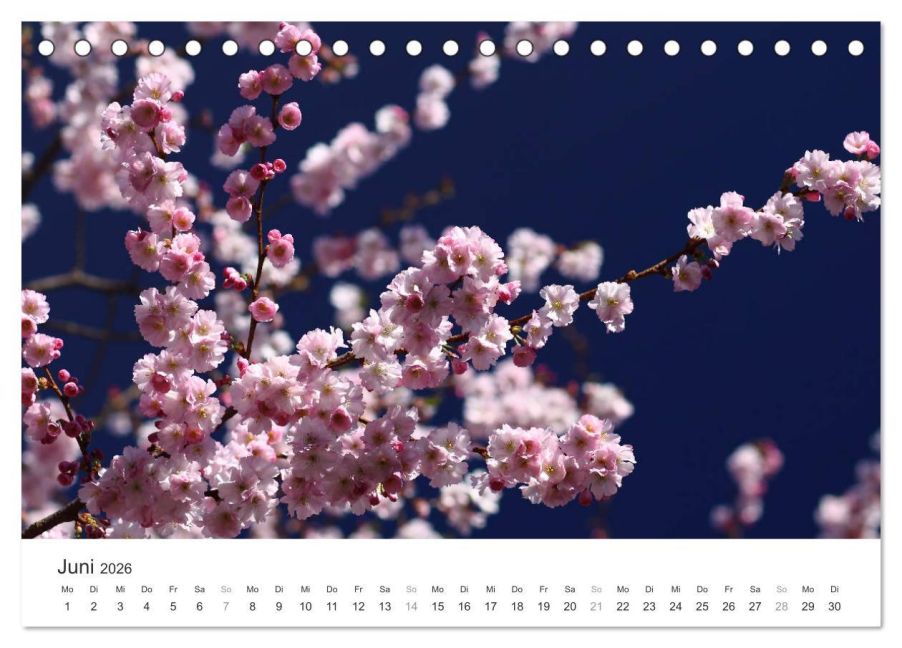 additionalImage11