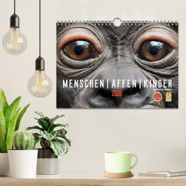 additionalImage1