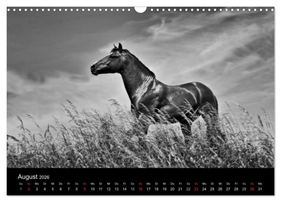 additionalImage13