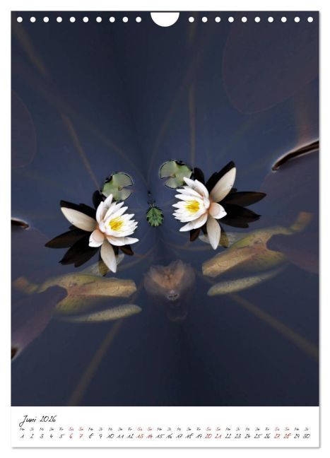 additionalImage11