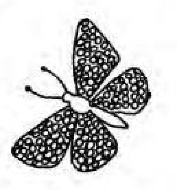 additionalImage1
