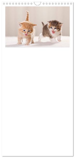 additionalImage6