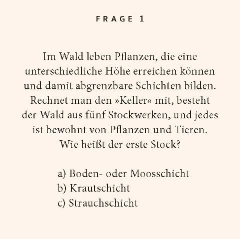 additionalImage1