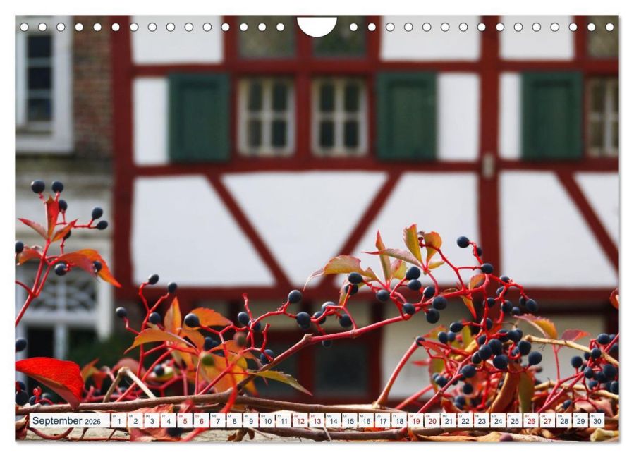 additionalImage14
