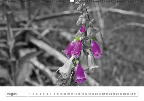 additionalImage8