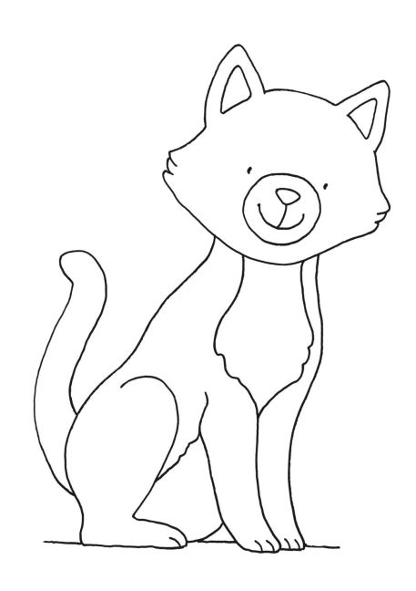 additionalImage5