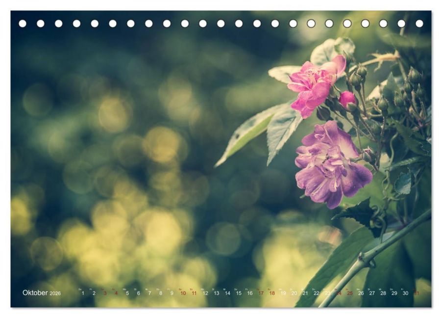 additionalImage2