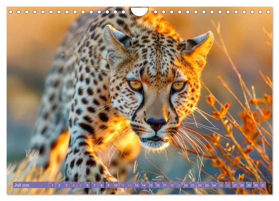 additionalImage12