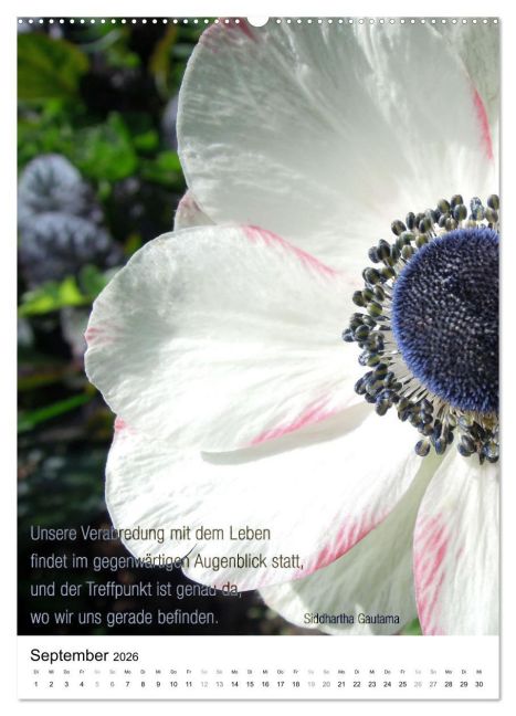 additionalImage14