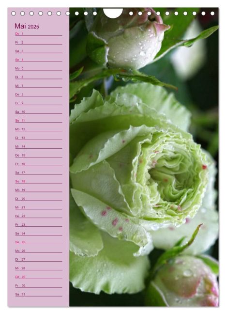 additionalImage10