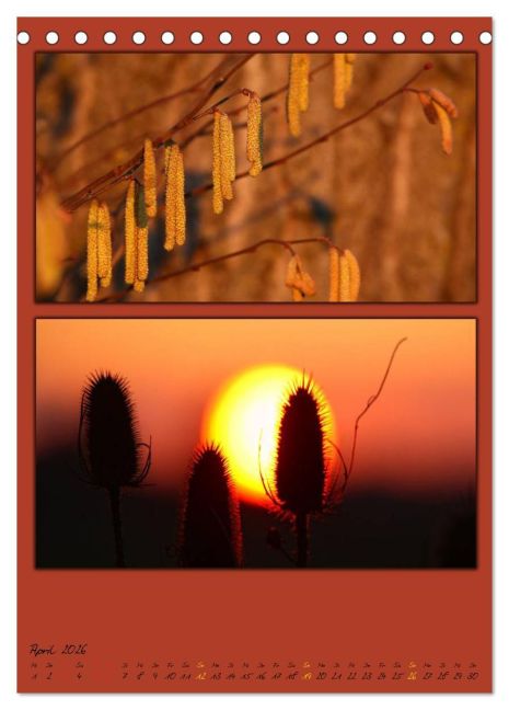 additionalImage9