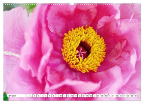 additionalImage11