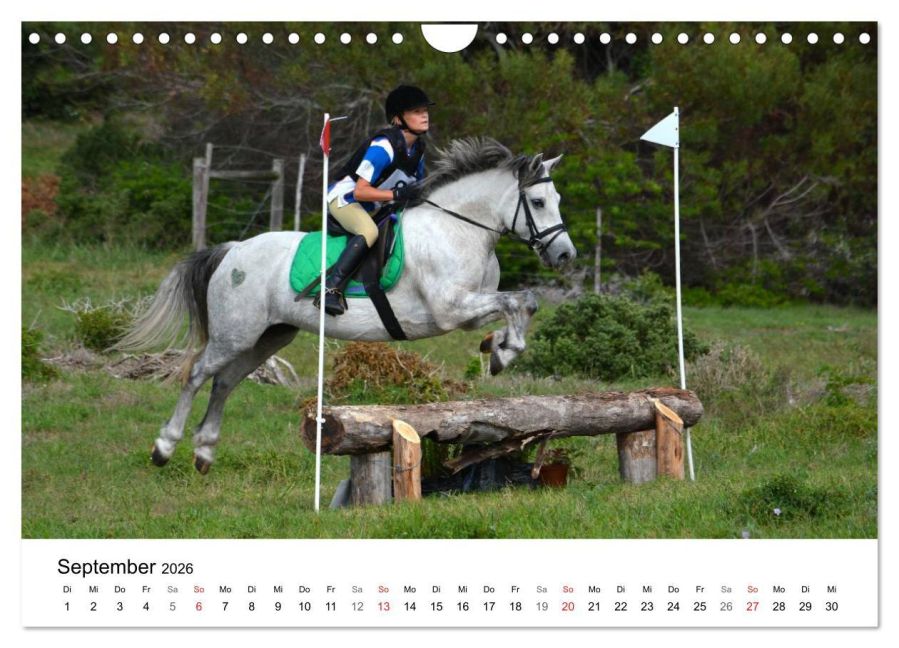 additionalImage14