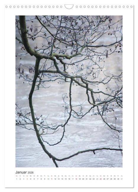 additionalImage6