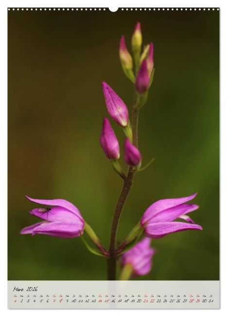 additionalImage8