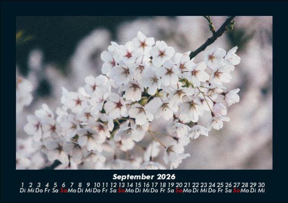 additionalImage1