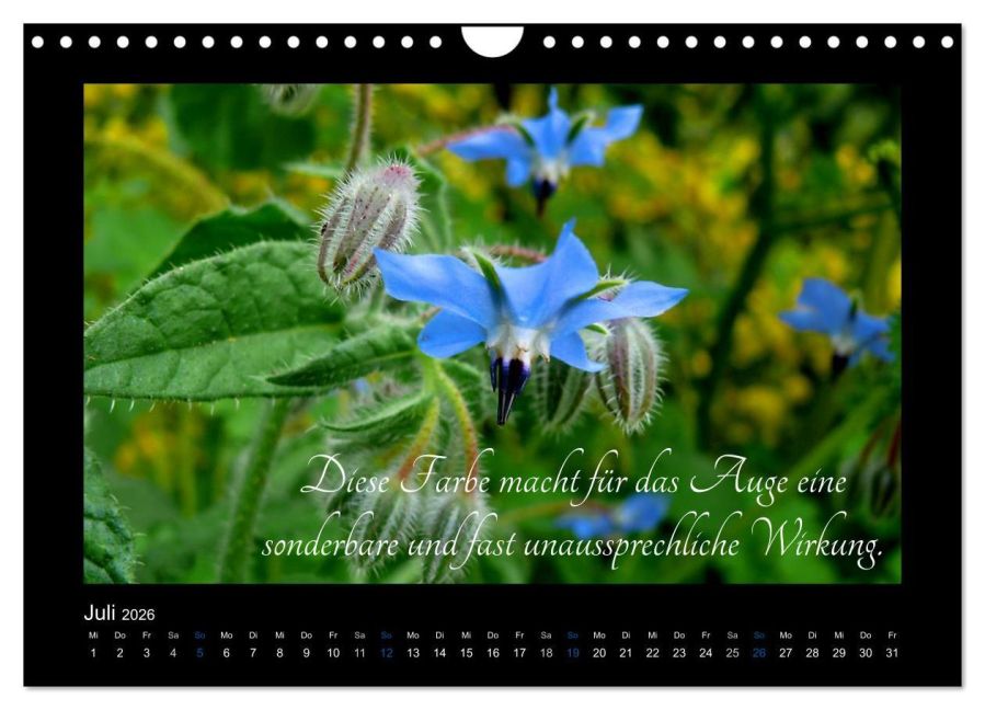 additionalImage12