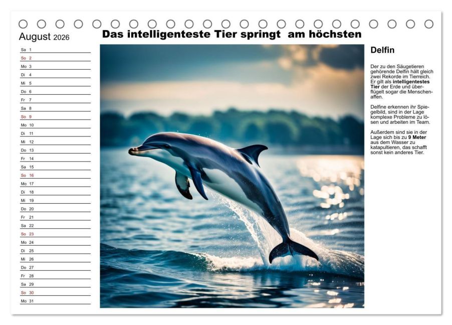 additionalImage13