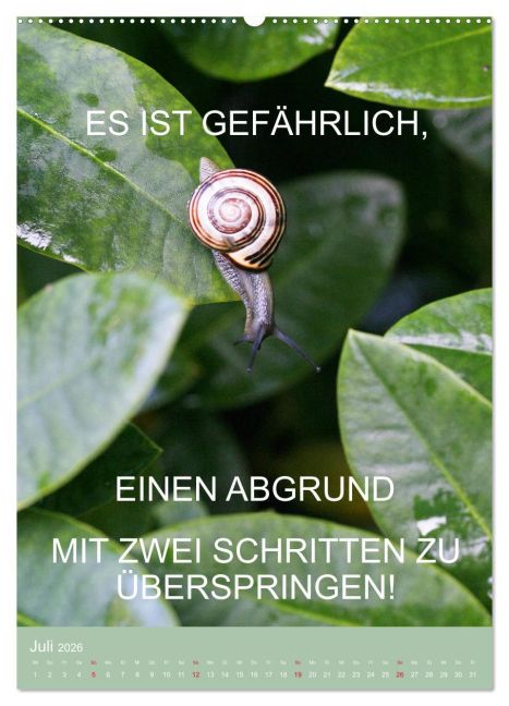 additionalImage11