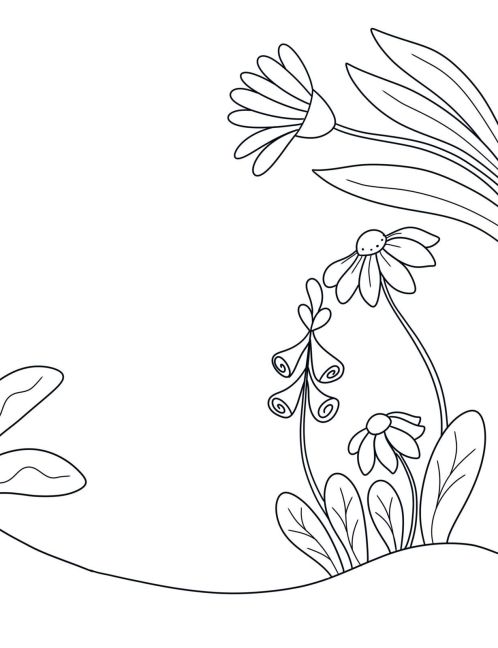 additionalImage7
