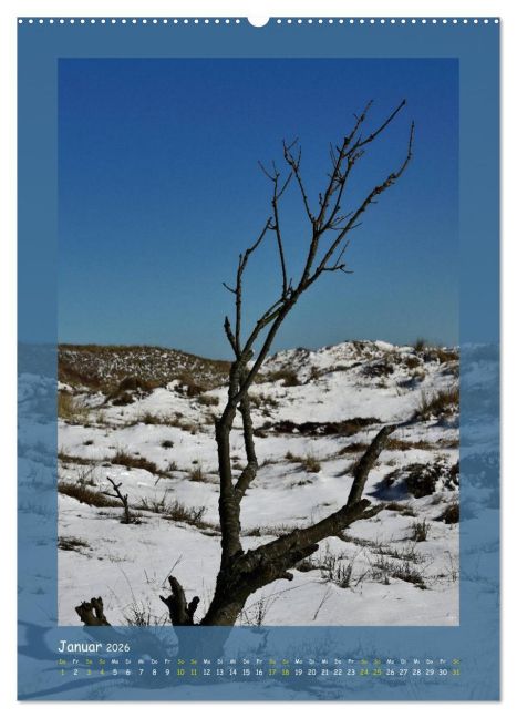 additionalImage6