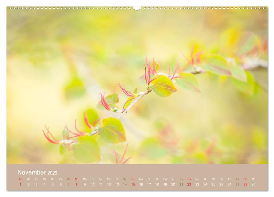 additionalImage2
