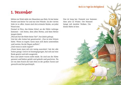 additionalImage1