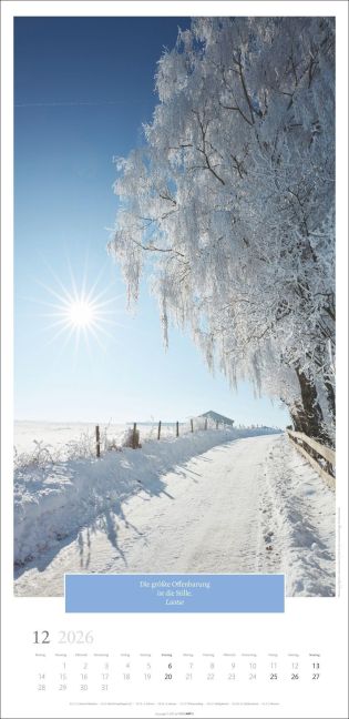 additionalImage12